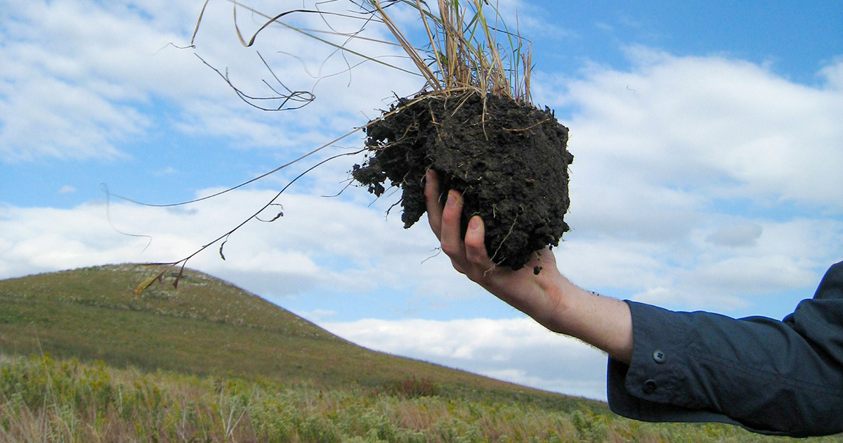 A hand holding a clump of soil with grass growing out of it